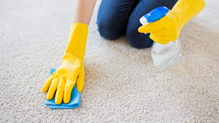 Prevent mold growth in carpet