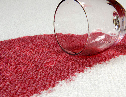 Holiday Carpet Cleaning Tips