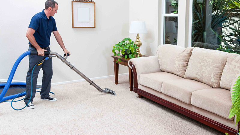 Professional Steam Carpet Cleaning Services